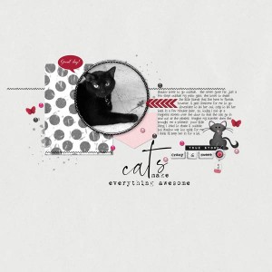 Cats