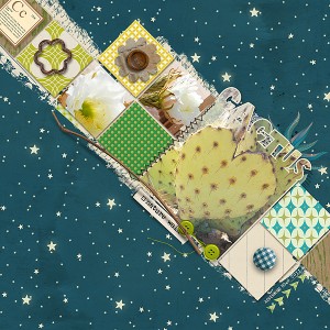 Cactus