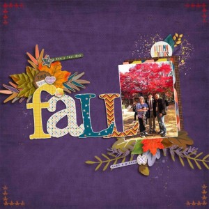 FALL February 2019 Inspiration challenge