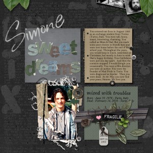 Pink-Reptile-Designs_2019-01_January_Blog-Challenge_Simone_web