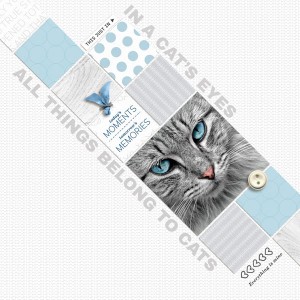 Cat's Eyes_sahlinstudio