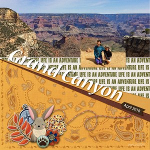 2-15foreverjoy_grandcanyon