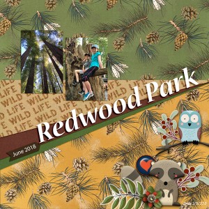 2-15foreverjoy_redwoodpark