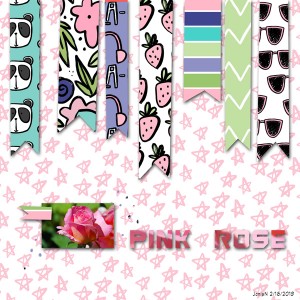 2-16emerritt_pnk Rose
