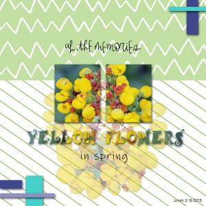 2-16emerritt_yellowflowers