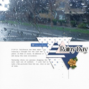 Rainy-Day