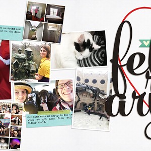 February 2018 Reflections