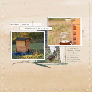 Flow hive love