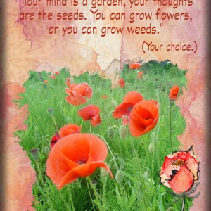 ATC-2019-021-Your-Mind-is-a-Garden