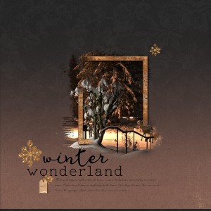 02-19-19_OOB-Frame_WinterWonderlandpsd
