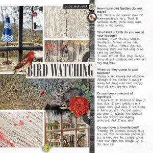 Bird Watching