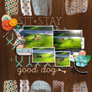 Good Dog