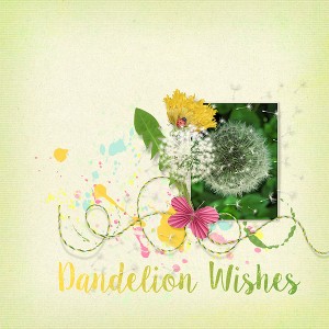 Dandelion Wishes
