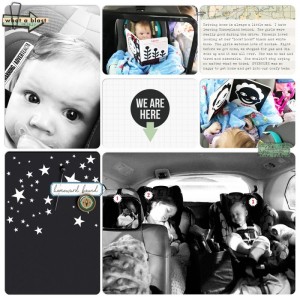 HomewardBound_WEB