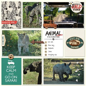 safari