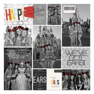 We Got Ears Web PM