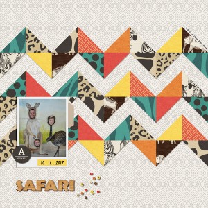 Safari