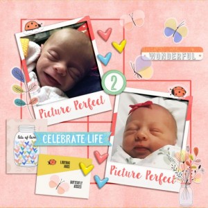 NEW BABIES! - #TLPLOD - JUST JAIMEE