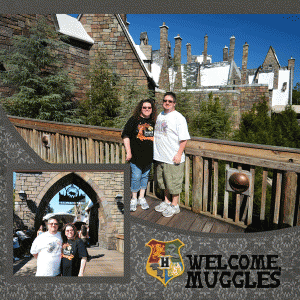 Welcome Muggles
