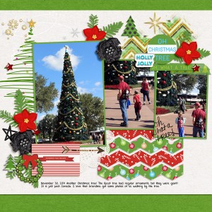 20141130 Epcot Christmas Tree