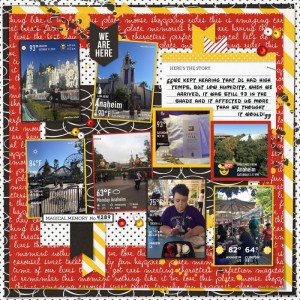 Project Mouse, Disneyland, weather