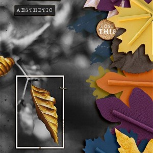 Autumn Aesthetic