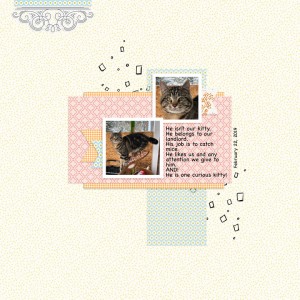 CURIOUS KITTY #TLPLOD - One Little Bird