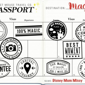 Missy 2019 PM Passport