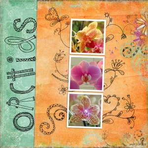 2-24CD_orchids