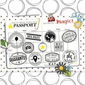 Project Mouse 6 Completed Passport