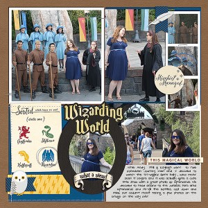 Wizarding World