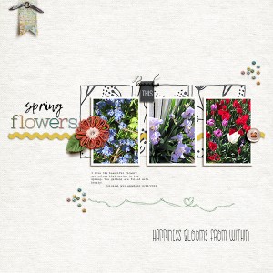 Spring Flowers