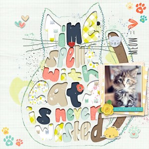 Time Spent with Cats
