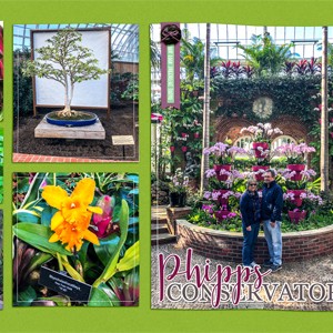 Phipps in Winter