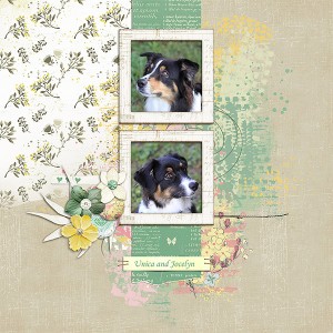 2019_02_lgrieveson_dogs
