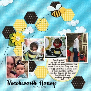 FDD Challenge Feb 19 - Beechworth Honey Bee