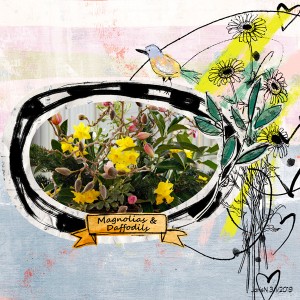 3-1lbw_magnolias&daffodils