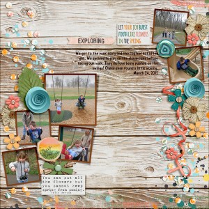 20120324-02-fdd_ConfettiWishes_DU_tp2