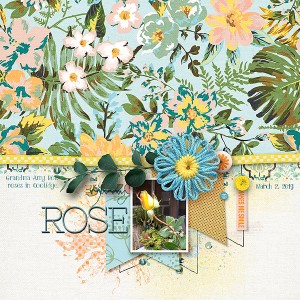 Yellow-Rose