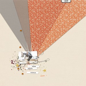 19-03_LOD_VW-copy
