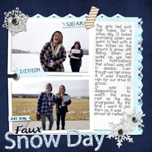 Faux-Snow-Day