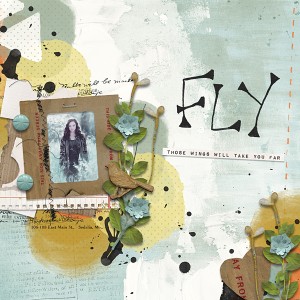 Fly
