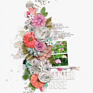 Lenten Rose
