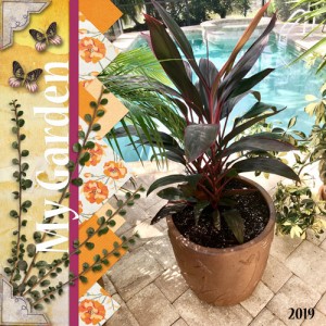 March Photography Challenge