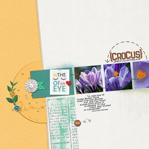 19-03_TLP_March-Photography-Challenge-copy