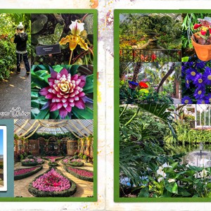 Another trip to Phipps