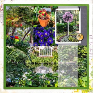 Another trip to Phipps_right