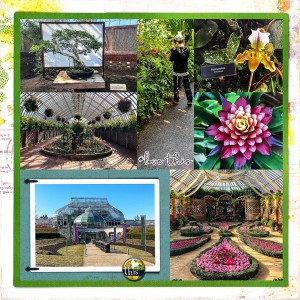 Another trip to Phipps_left