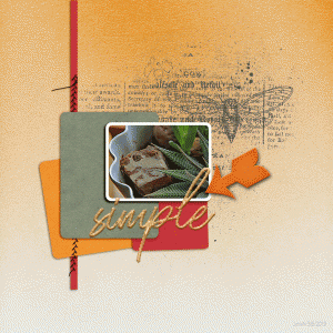 3-6prd_simple