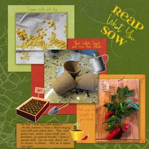 Sweet-peppers